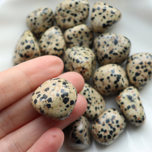 Dalmatian Jasper Tumblestone
