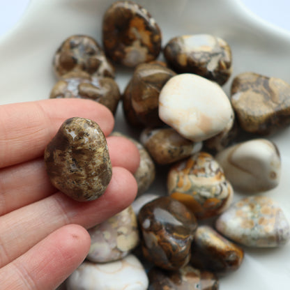 Spotted Agate Tumblestone