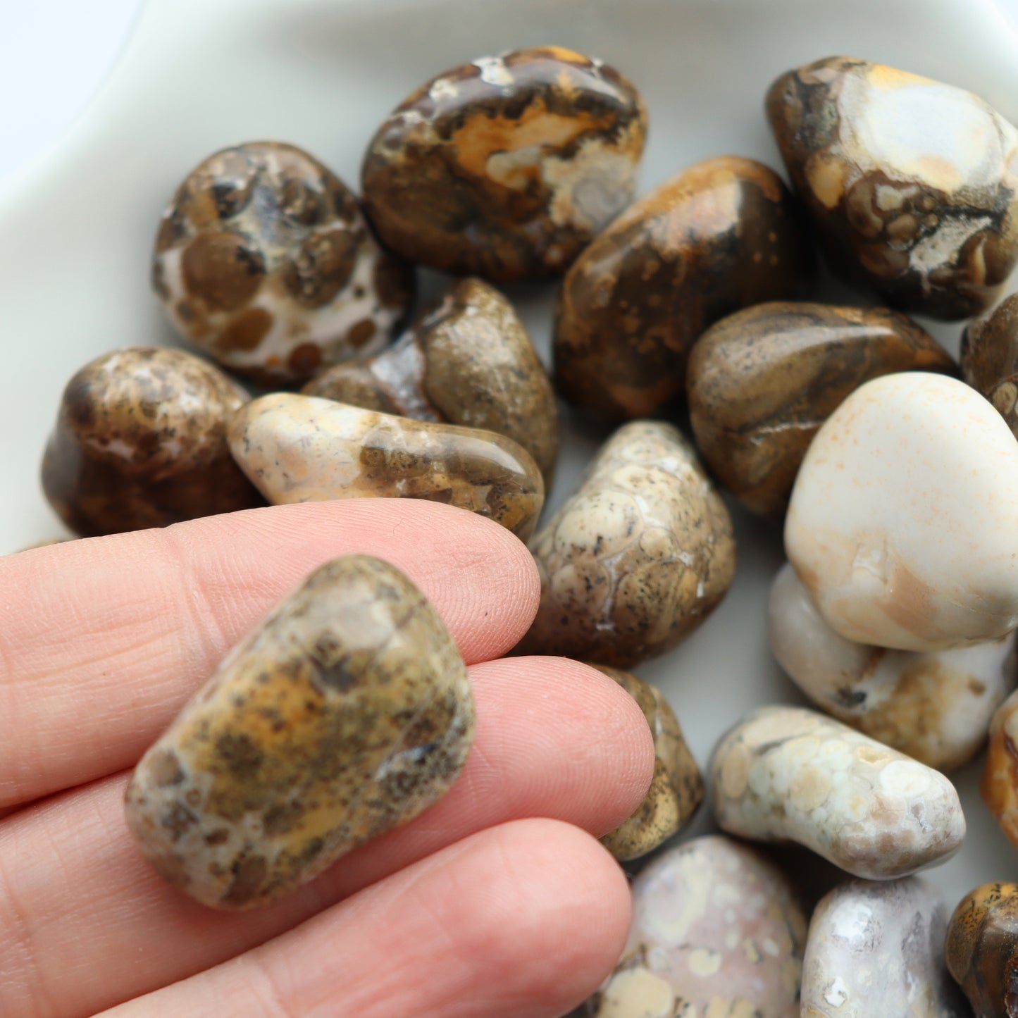 Spotted Agate Tumblestone