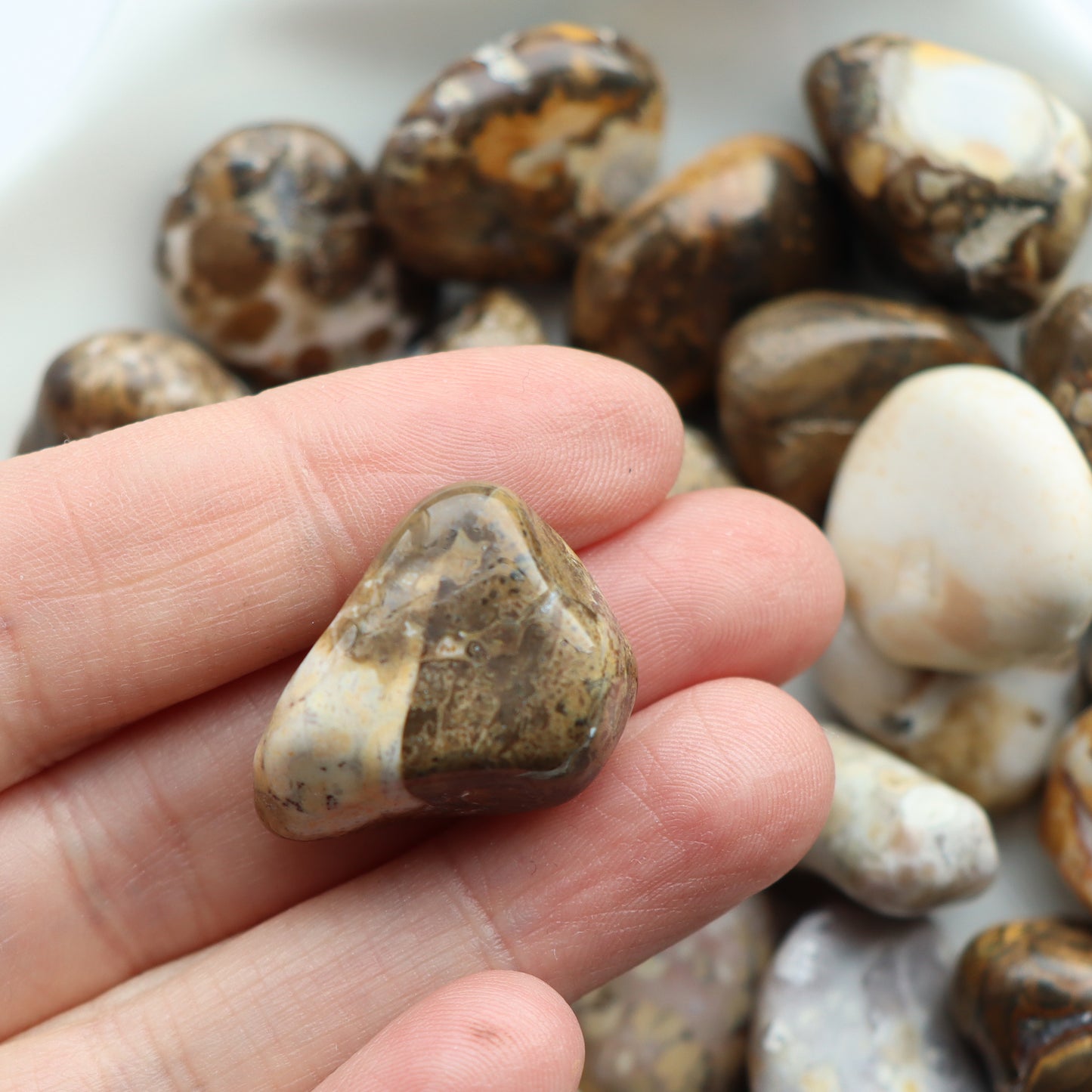Spotted Agate Tumblestone