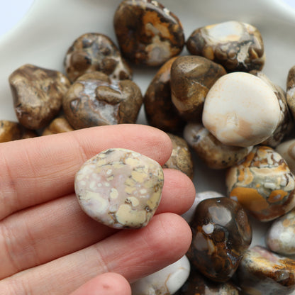 Spotted Agate Tumblestone