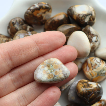 Spotted Agate Tumblestone