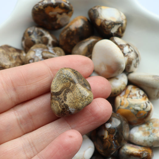 Spotted Agate Tumblestone