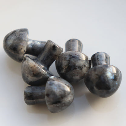 Larvikite Mushroom Crystal Protective Grounding Stone - Crystal Gift