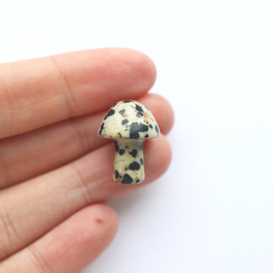 Mini Dalmatian Jasper Mushroom Crystal