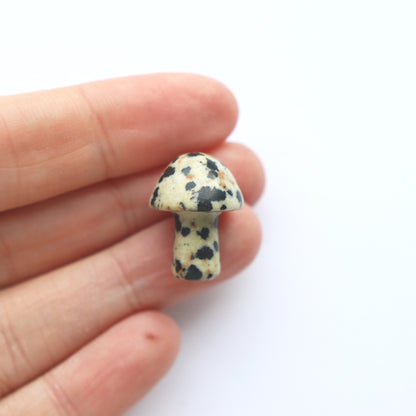 Tiny Polished Dalmatian Jasper Mushroom Crystal - Crystal Gift