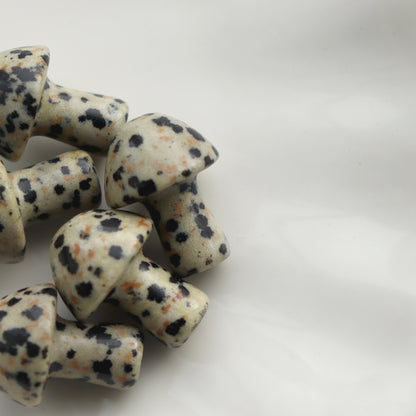 Mini Dalmatian Jasper Mushroom Crystal