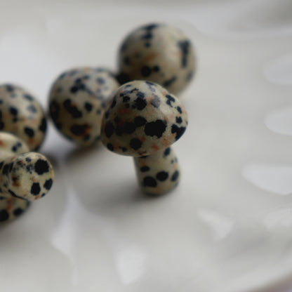 Mini Dalmatian Jasper Mushroom Crystal