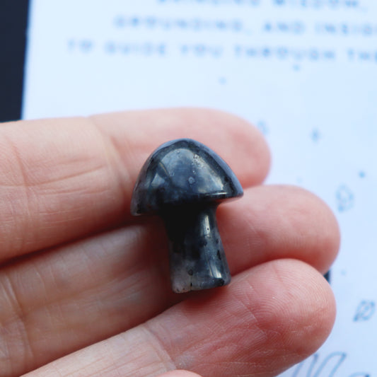 Larvikite Mushroom Crystal Protective Grounding Stone - Crystal Gift
