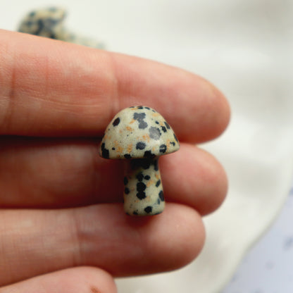 Tiny Polished Dalmatian Jasper Mushroom Crystal - Crystal Gift