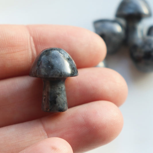 Mini Larvikite Mushroom Crystal