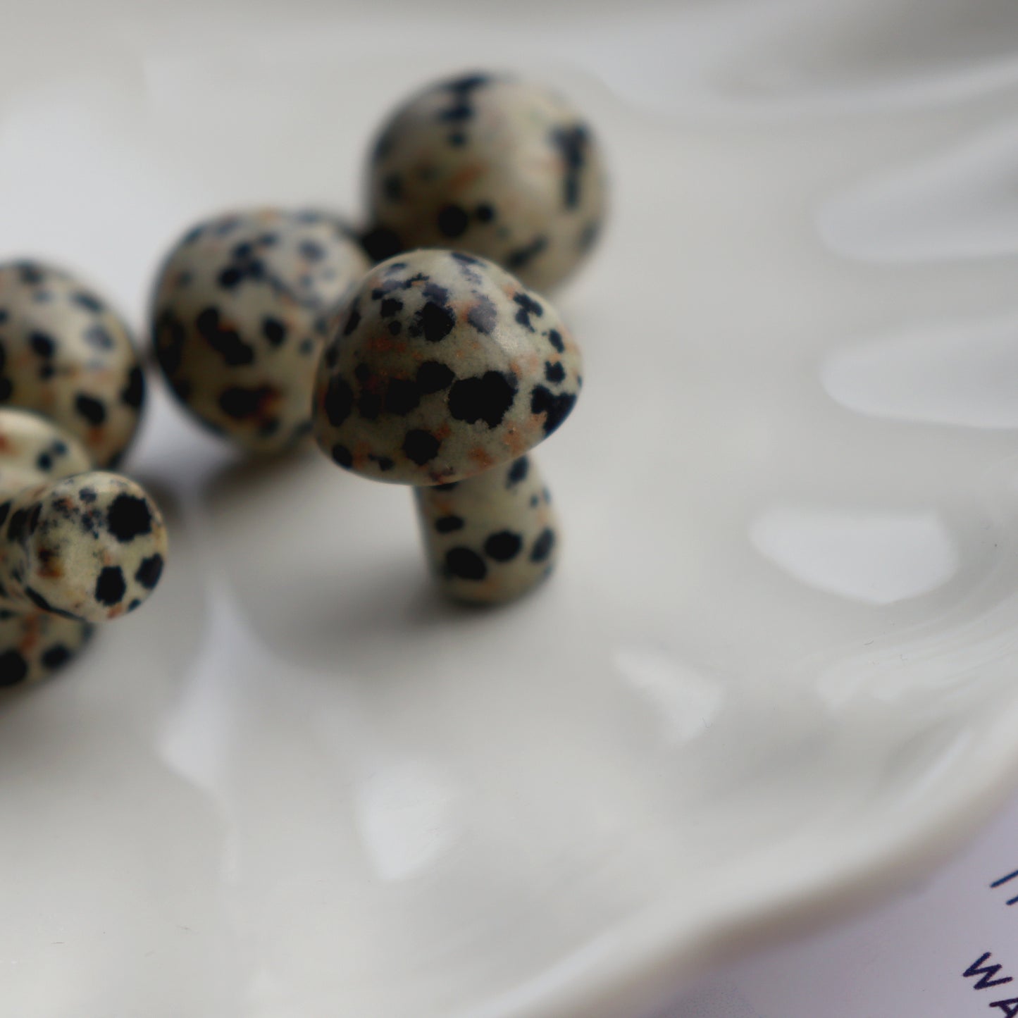 Tiny Polished Dalmatian Jasper Mushroom Crystal - Crystal Gift