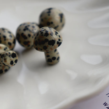 Tiny Polished Dalmatian Jasper Mushroom Crystal - Crystal Gift