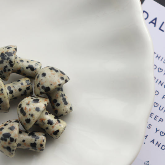 Tiny Polished Dalmatian Jasper Mushroom Crystal - Crystal Gift