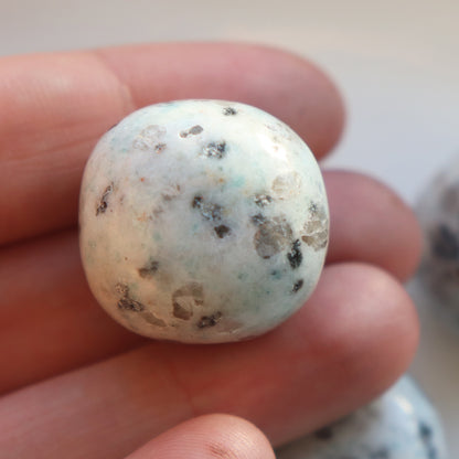 Kiwi Jasper Tumblestone