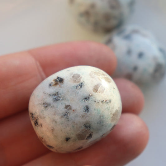 Kiwi Jasper Tumblestone