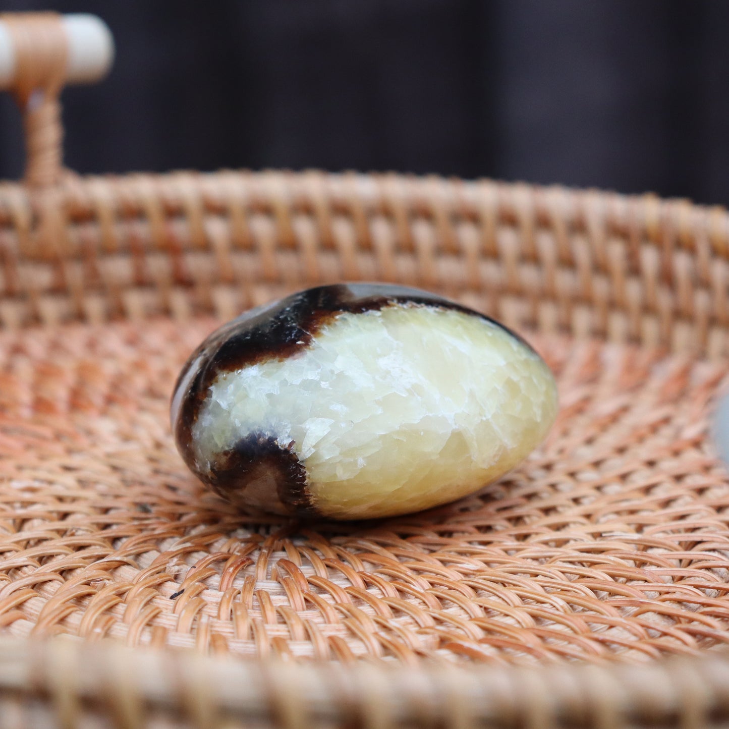 Septarian Palm Stone – Ancient Wisdom & Protection Crystal