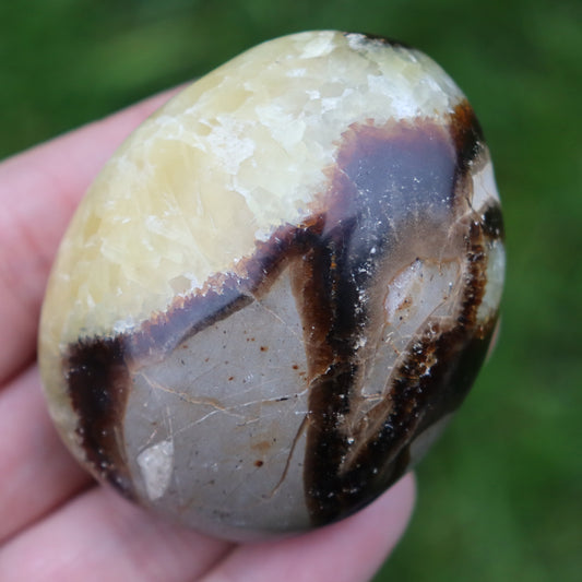 Septarian Palm Stone – Ancient Wisdom & Protection Crystal