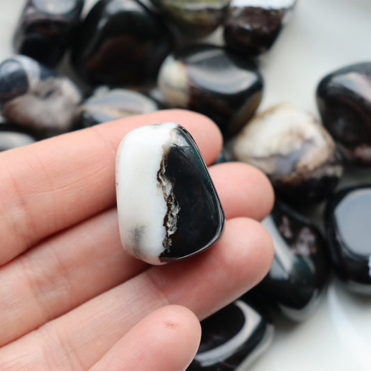 Zebra Jasper Tumblestone